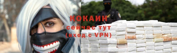 стаф Нея