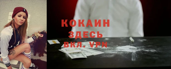 дмт Арсеньев
