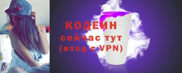 дмт Арсеньев
