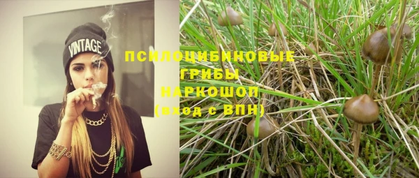 дмт Арсеньев